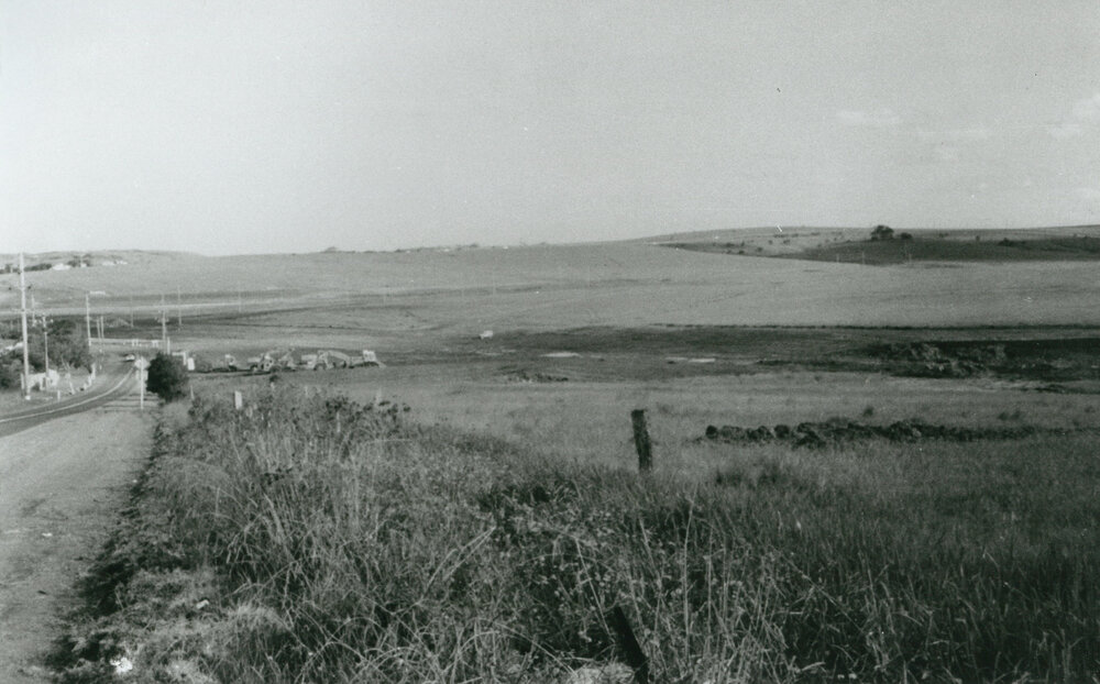 Flinders, Shellharbour