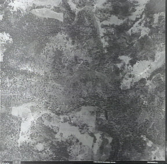 Jamberoo