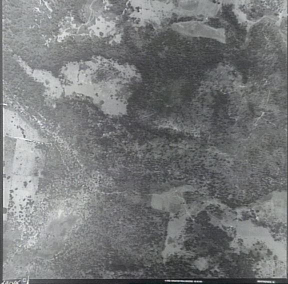 Minnamurra Falls Reserve