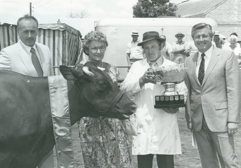 Winner of the trophy for Best Pen of Three Cows at Albion Park Show