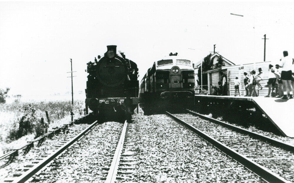 Steam and Diesel trains at Shellharbour Station