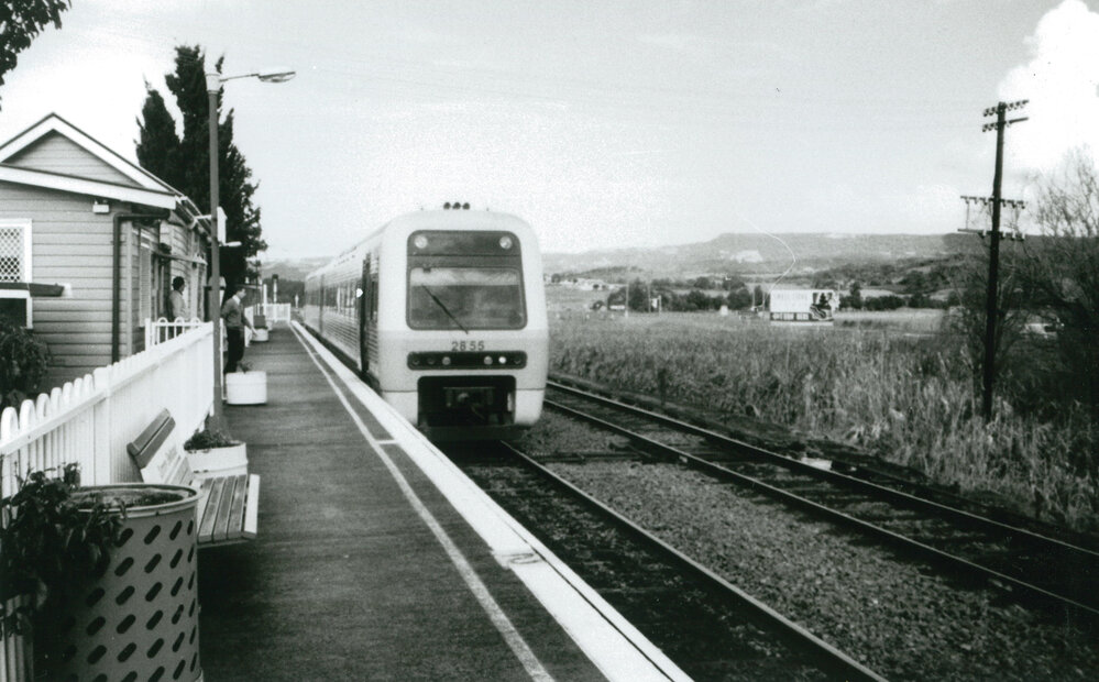 Shellharbour Station, Dunmore