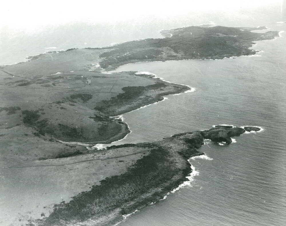 Bass Point 1966