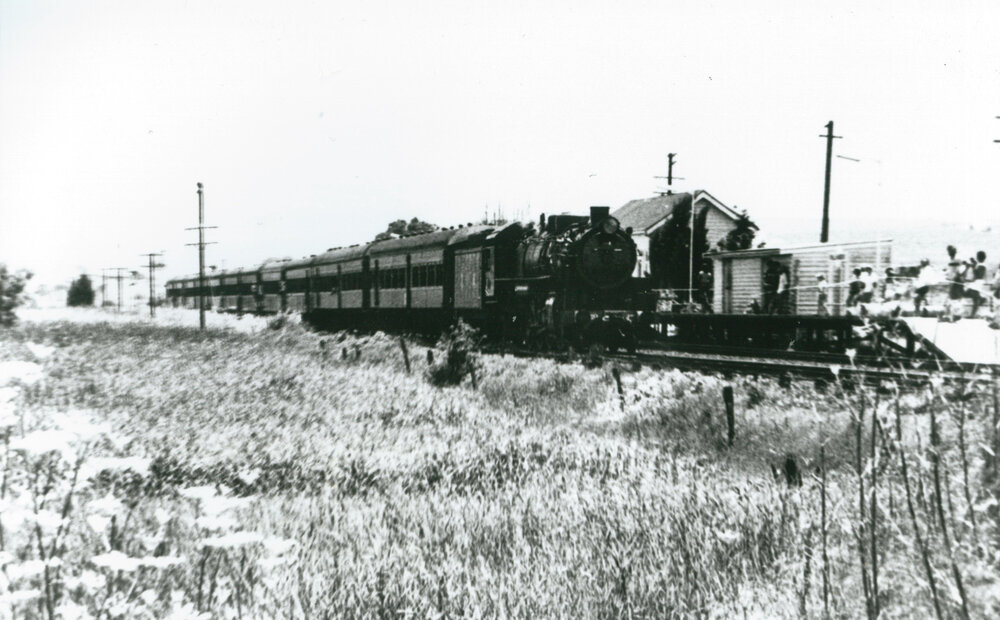 Steam train at Shellharbour Station, Dunmore