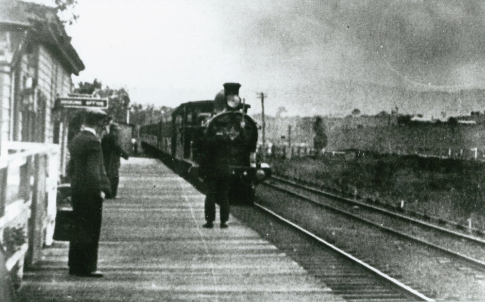 Shellharbour Station, Dunmore