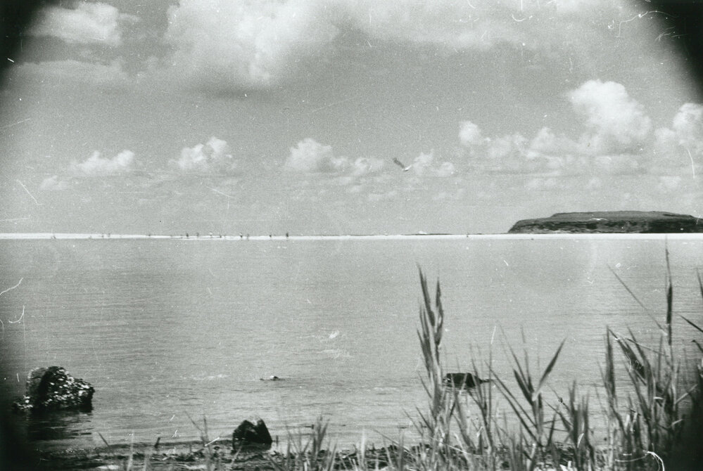 Windang Island from Lake Illawarra