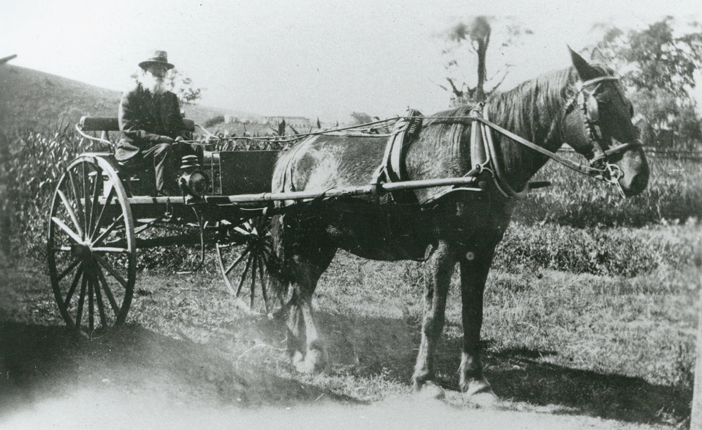 Lionel Hurry driving his sulky horse 'Victor'
