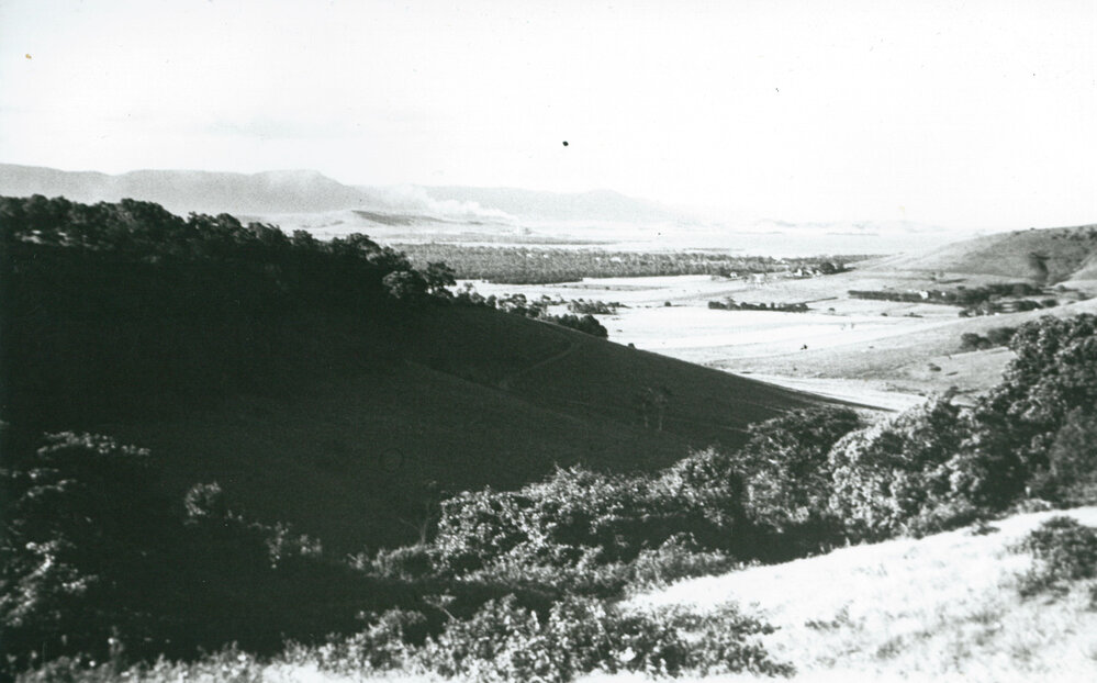 View towards Lake Illawarra from Mt Terry