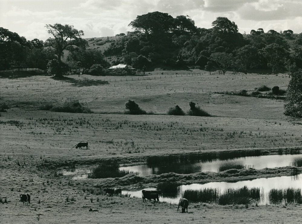 Farm along Swamp Road, Dunmore 1986