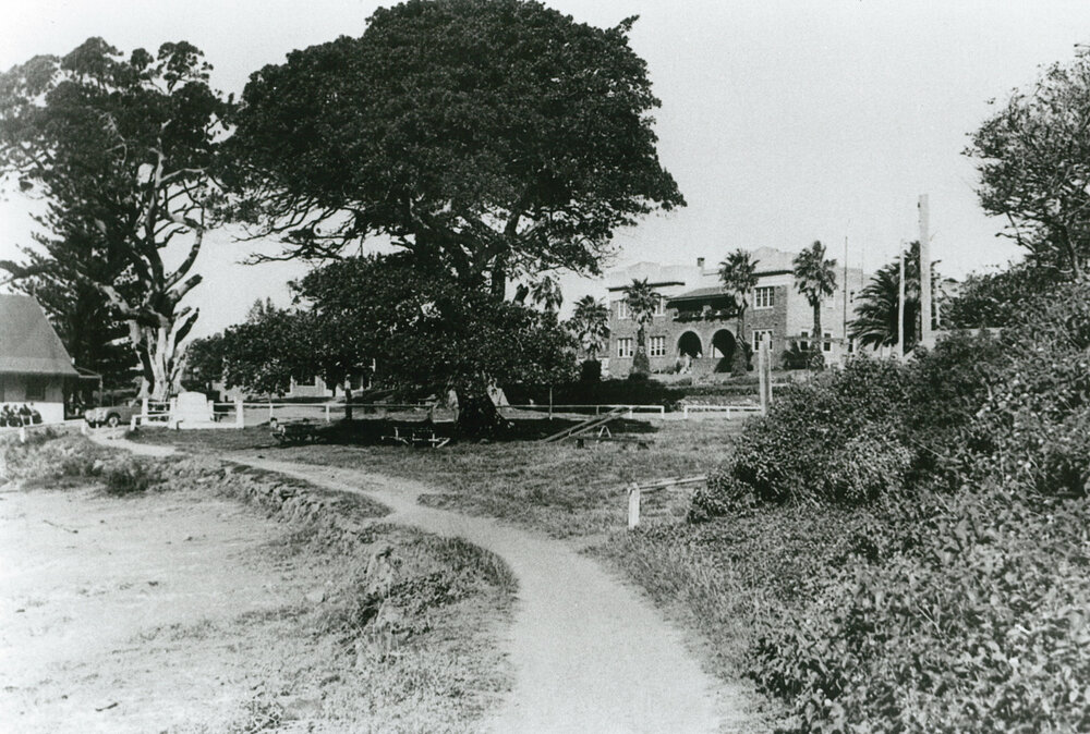 The Ocean Beach Hotel, Shellharbour