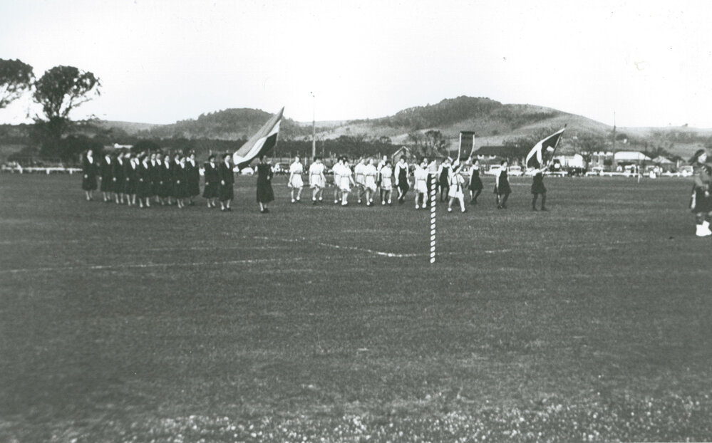 Hockey teams at Albion Park