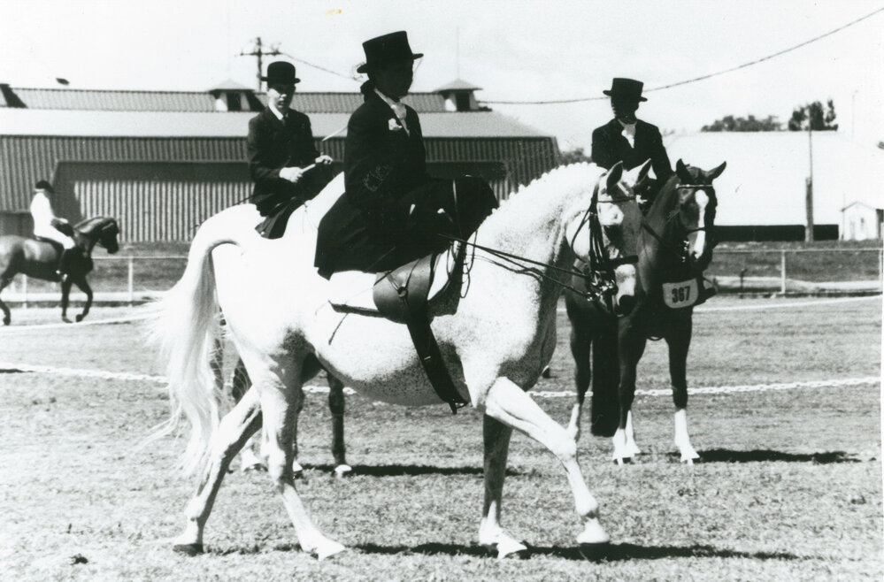 Louise Downes riding 'Proud One'