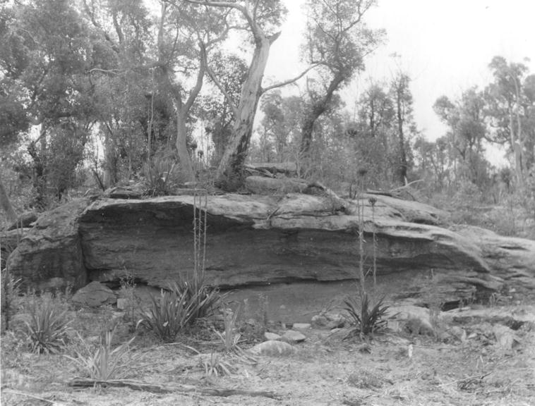 Aboriginal rock shelter site, Illawarra