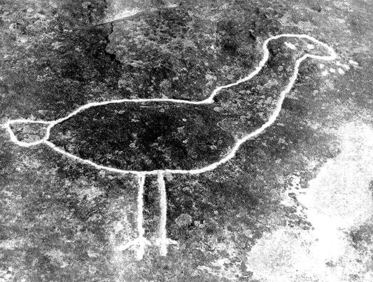 Aboriginal rock engraving, Illawarra