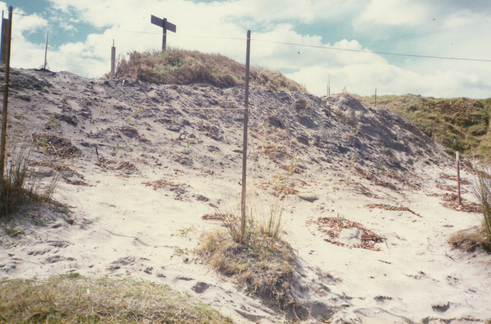 Maloney's Bay restoration 1986