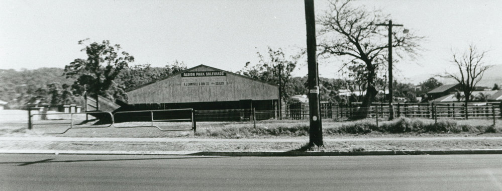 Albion Park Saleyards