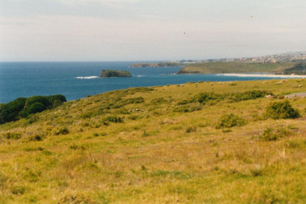 Bass Point view to Minnamurra
