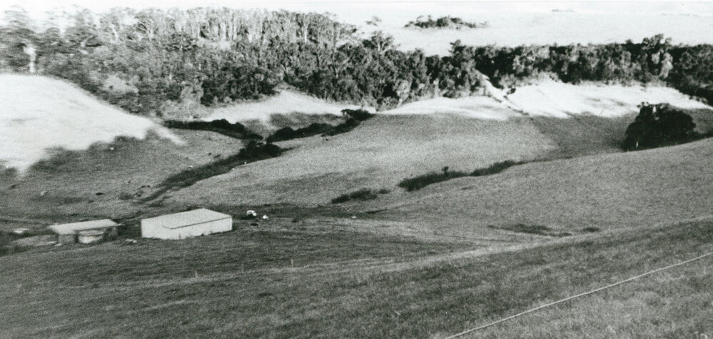 Big Valley, Albion Park