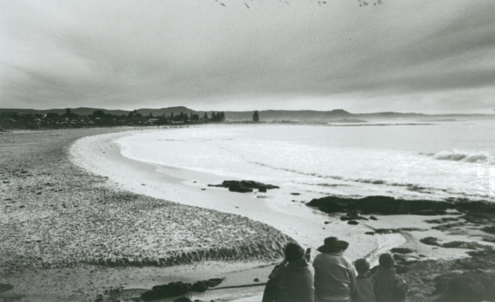 Whale watching at South Beach, Shellharbour 1993