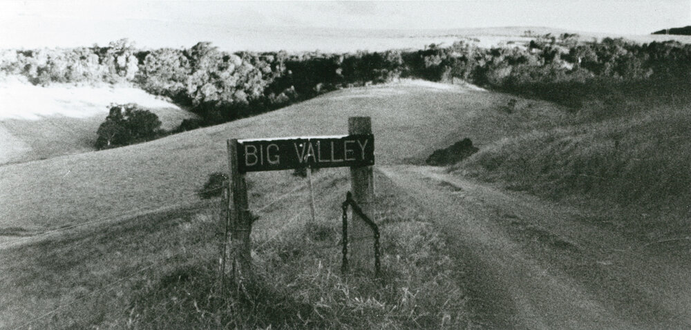 Big Valley, Albion Park