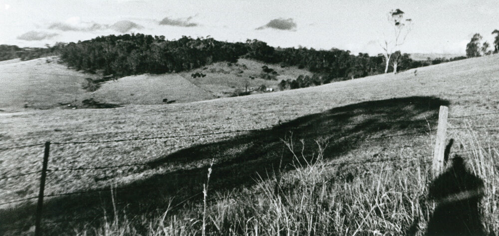 Big Valley, Albion Park