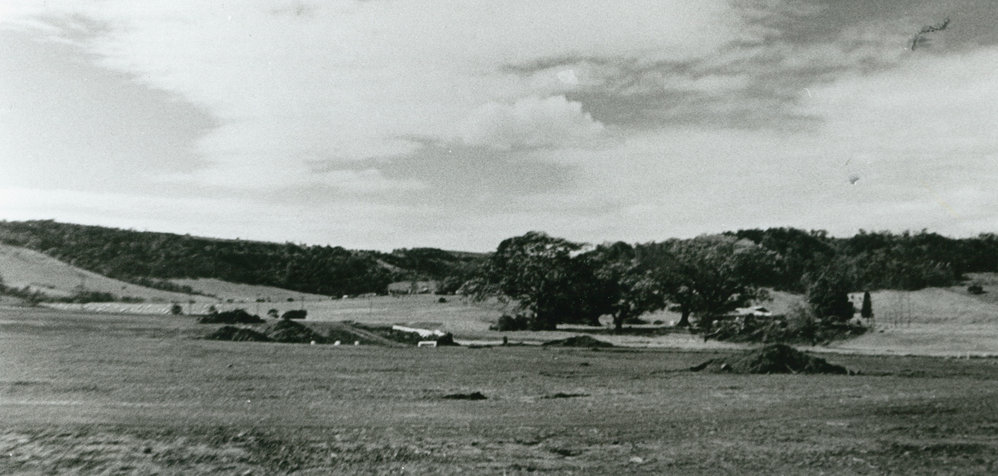 Gabriel Timbs' farm, 'Mt Terry'