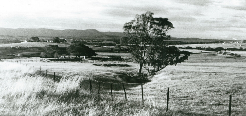 View north from Mt Terry, Albion Park