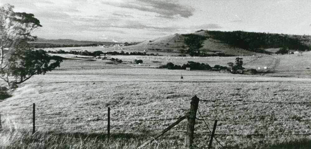 View from Mt Terry looking north
