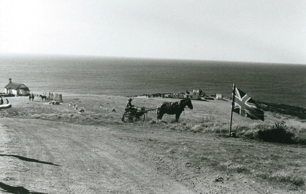 The Australian Break - The Fremantle Conspiracy film set at Killalea State Park