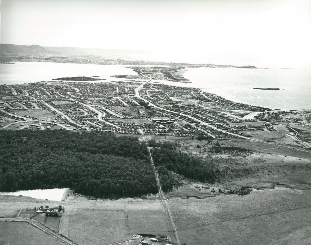 Blackbutt Forest to Lake Illawarra 1975