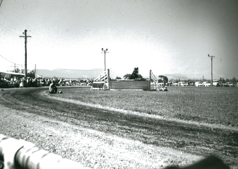Hunting event, Albion Park Show 1957