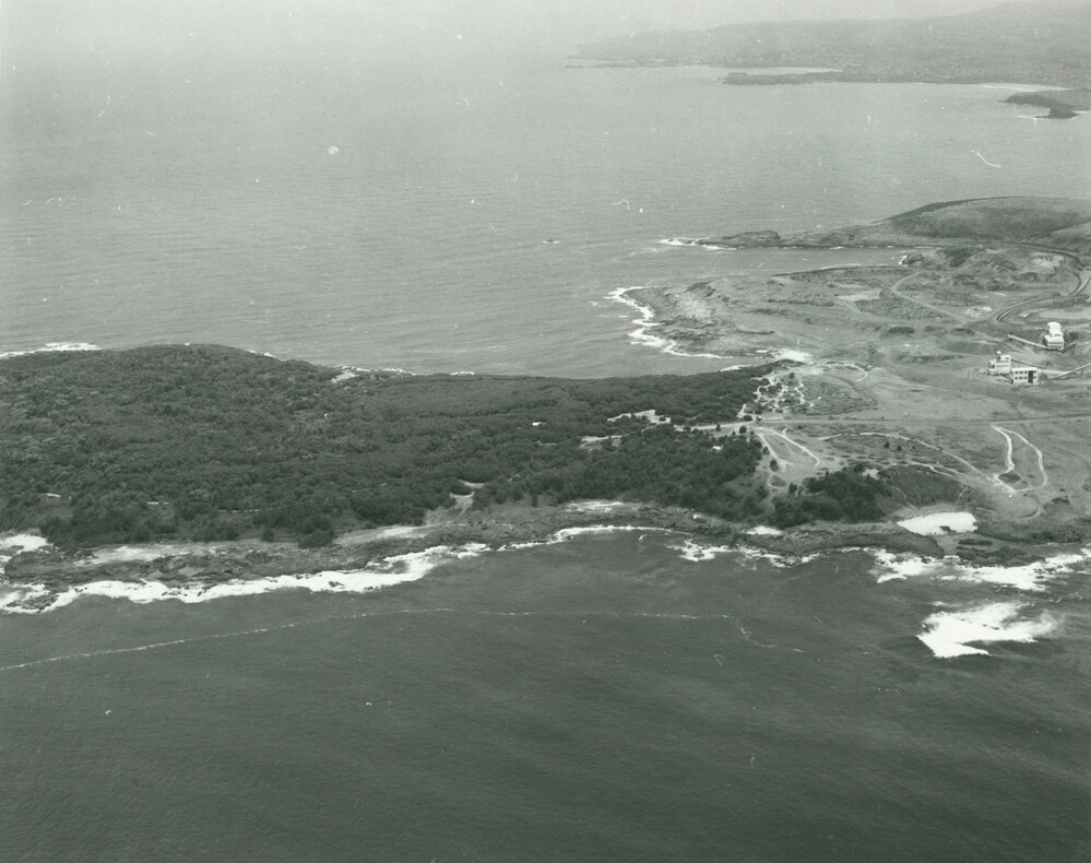 Bass Point 1980