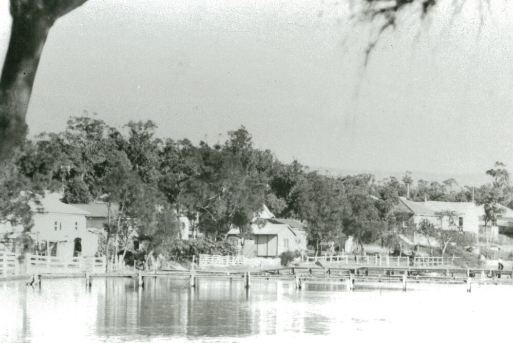 Lake Illawarra foreshore at Oak Flats c.1950s