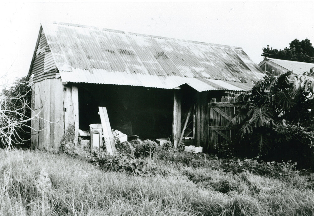 Old garage and former stable in rear of 'The Sheiling' Shellharbour 1986