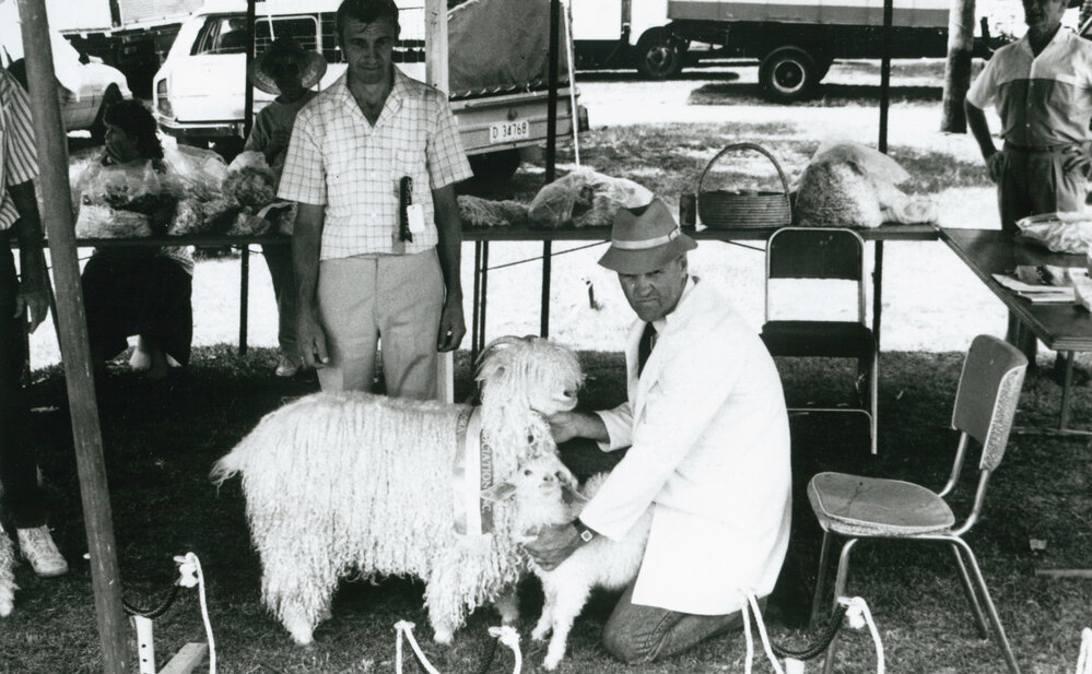 Supreme Champion Angora Goat, Albion Park Show