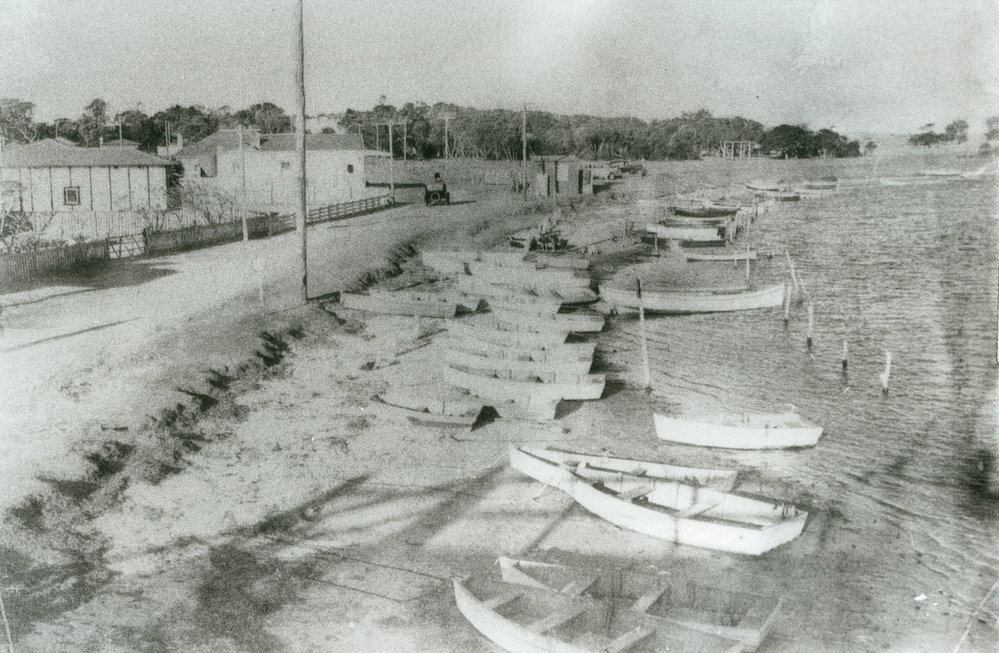 Boats moored on the foreshore of Lake Illawarra at Windang