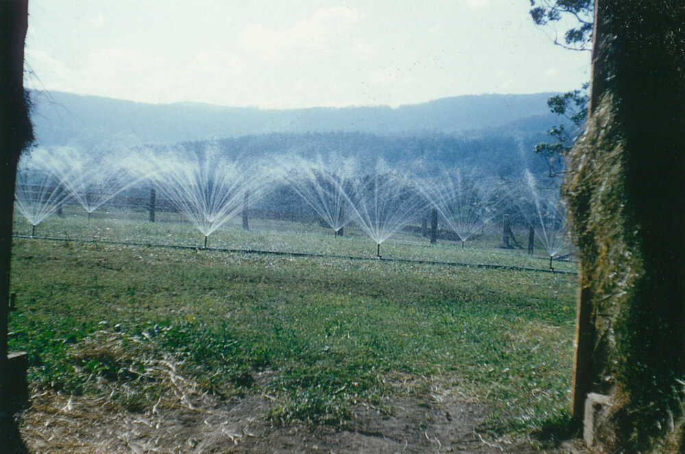 Irrigation sprays at Tongarra