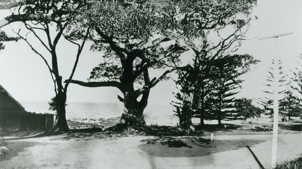 Shellharbour foreshore