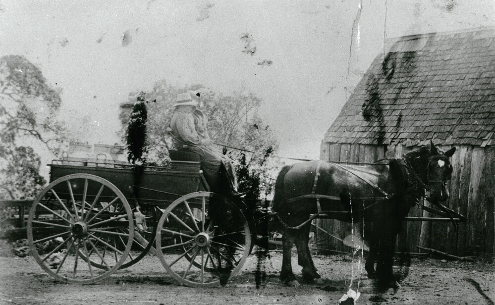 Delivering milk at the Dunster farm, 'The Hill'