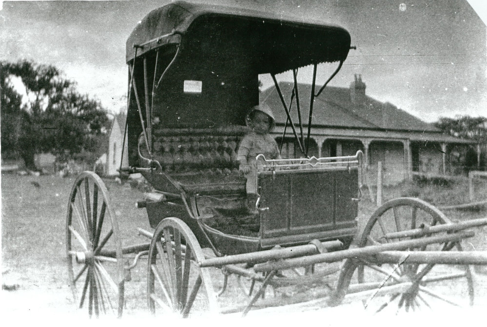 Darcy Fraser in a buggy at 'Brushgrove', Calderwood,  Albion Park