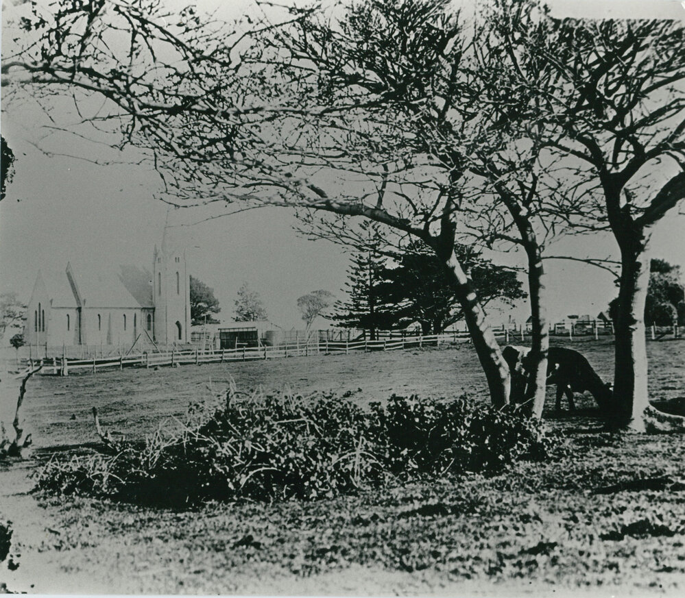 St Paul's Church of England, Shellharbour