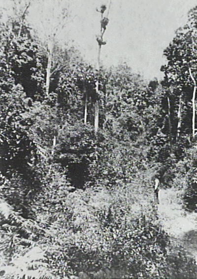 Carl Weber during the survey of Macquarie Pass