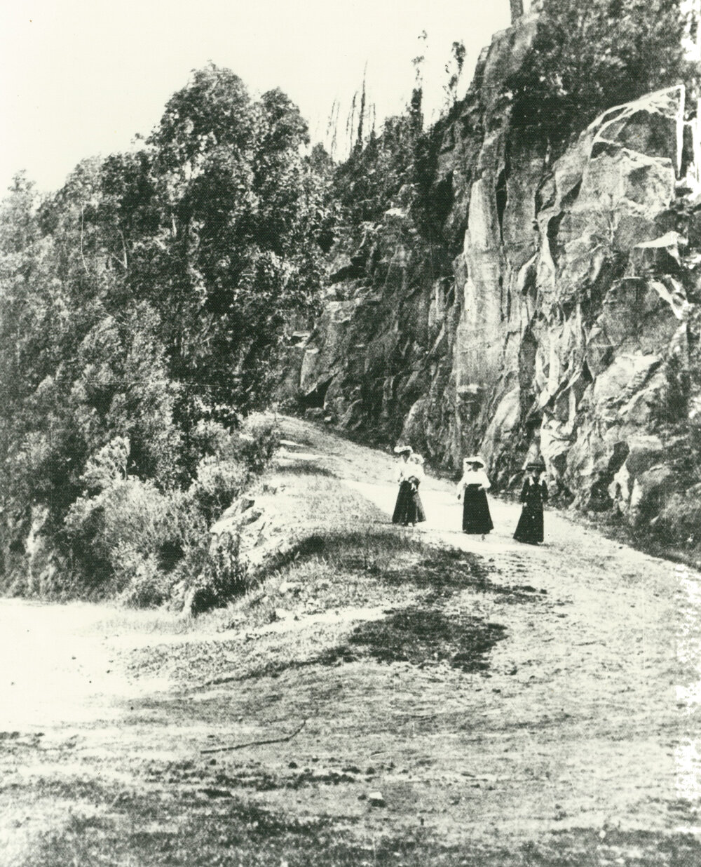 Three ladies walking down Macquarie Pass