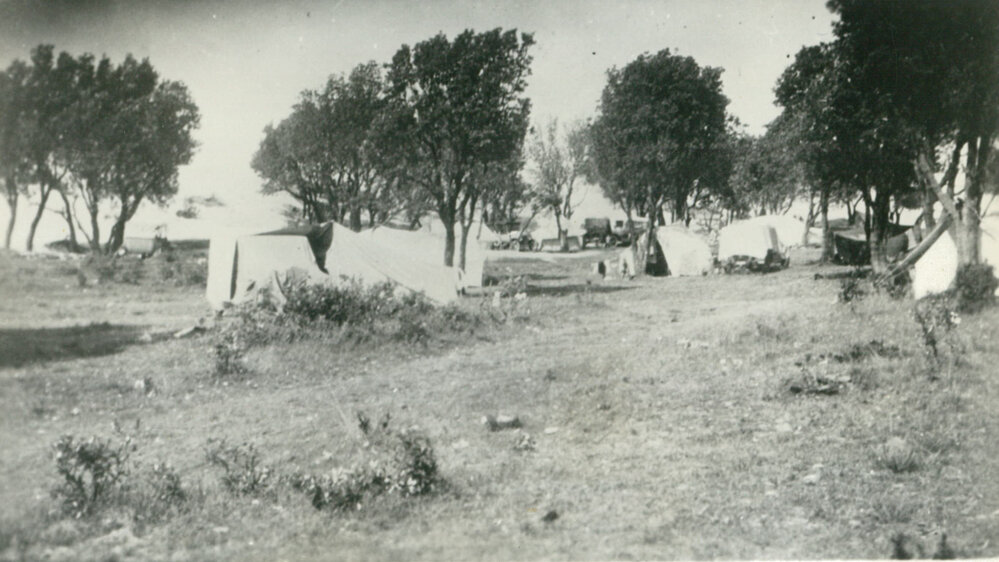 Woodford Park camping ground