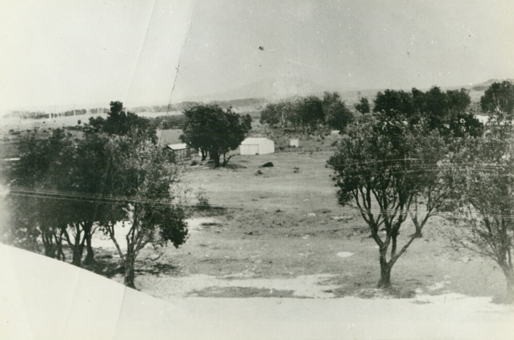 Woodford Park camping ground