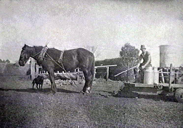 Transporting milk cans with horse and slide