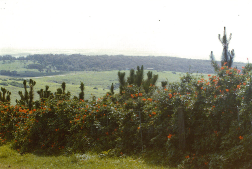 View from Dunster's Hill 1999
