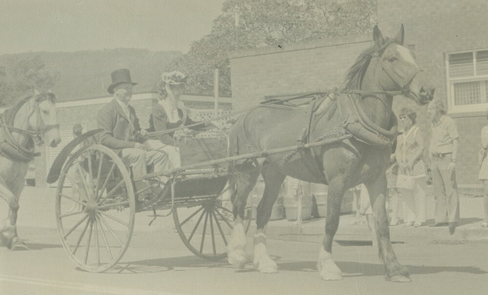 Albion Park Public School Centenary celebrations