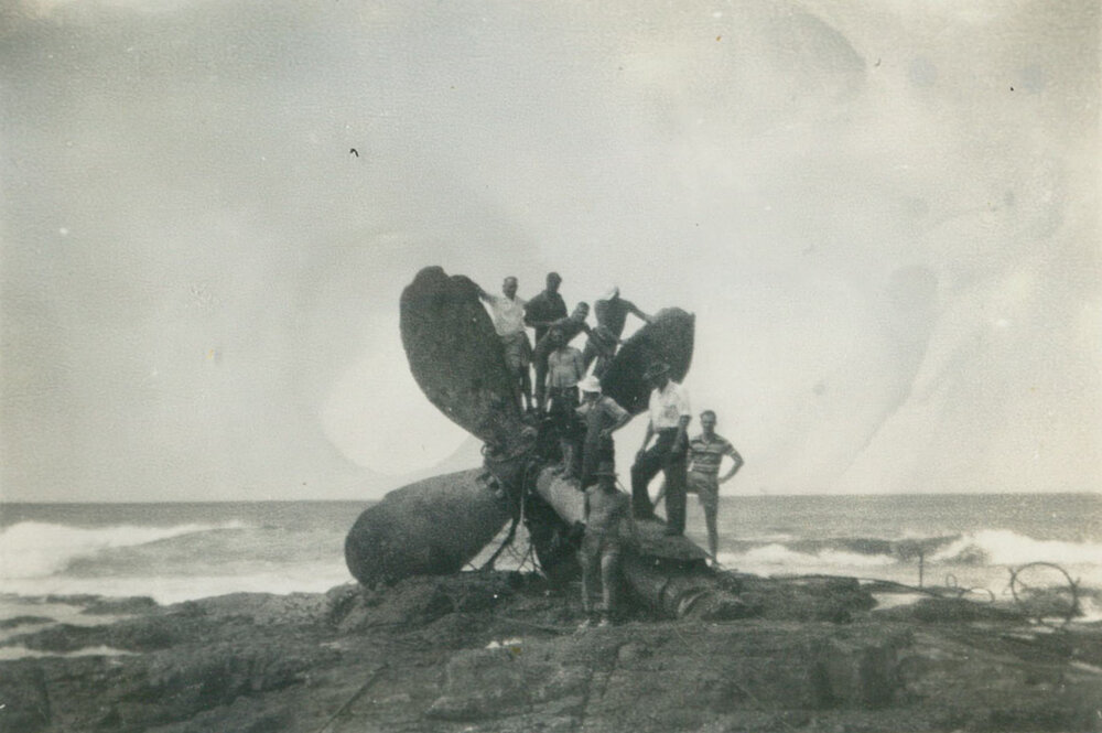 Remains of the propeller from the wreck of the 'Cities Service Boston'