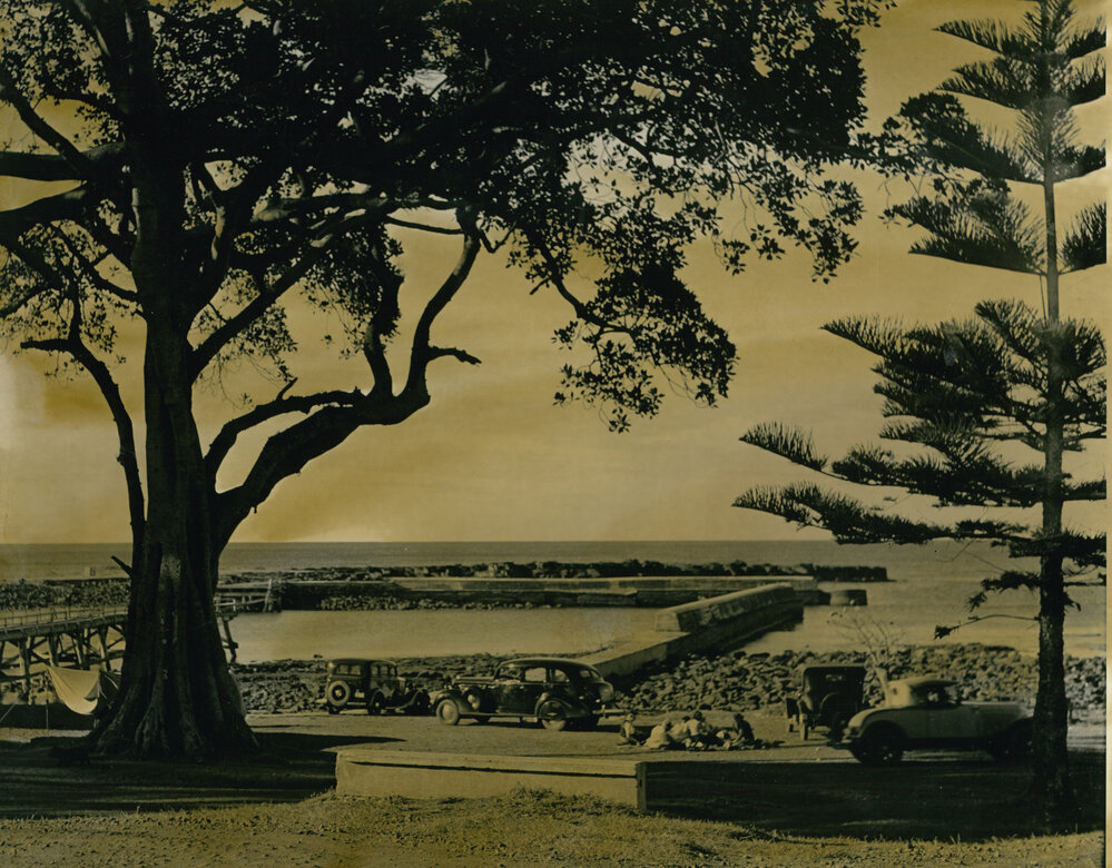 Picnic at Shellharbour Harbour